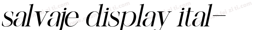 salvaje display ital字体转换